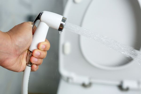 Cost of Bidet Installation in Parrish