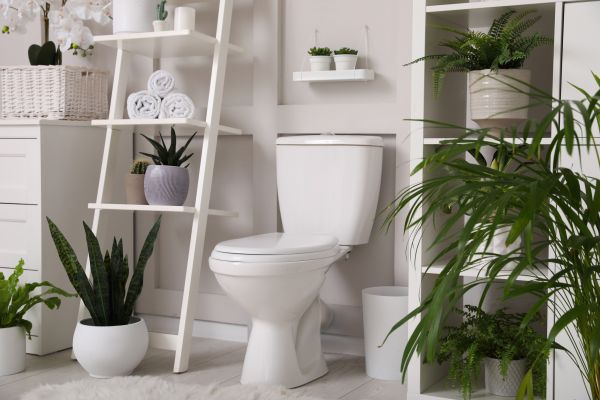 Cost of Toilet Repair in Parrish