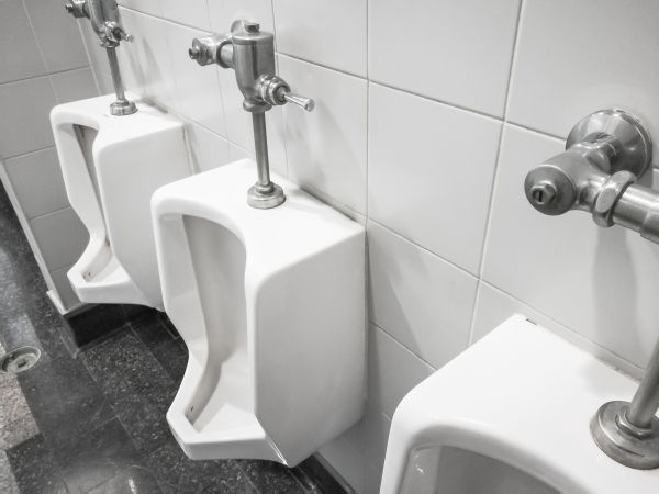 Cost of Urinal Installation in Parrish