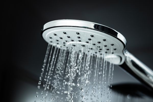 Cost of Shower Head Replacement in Parrish