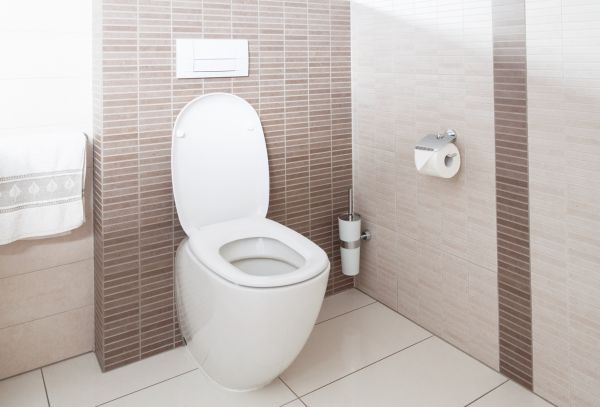 Cost of Toilet Plumbing Installation in Parrish